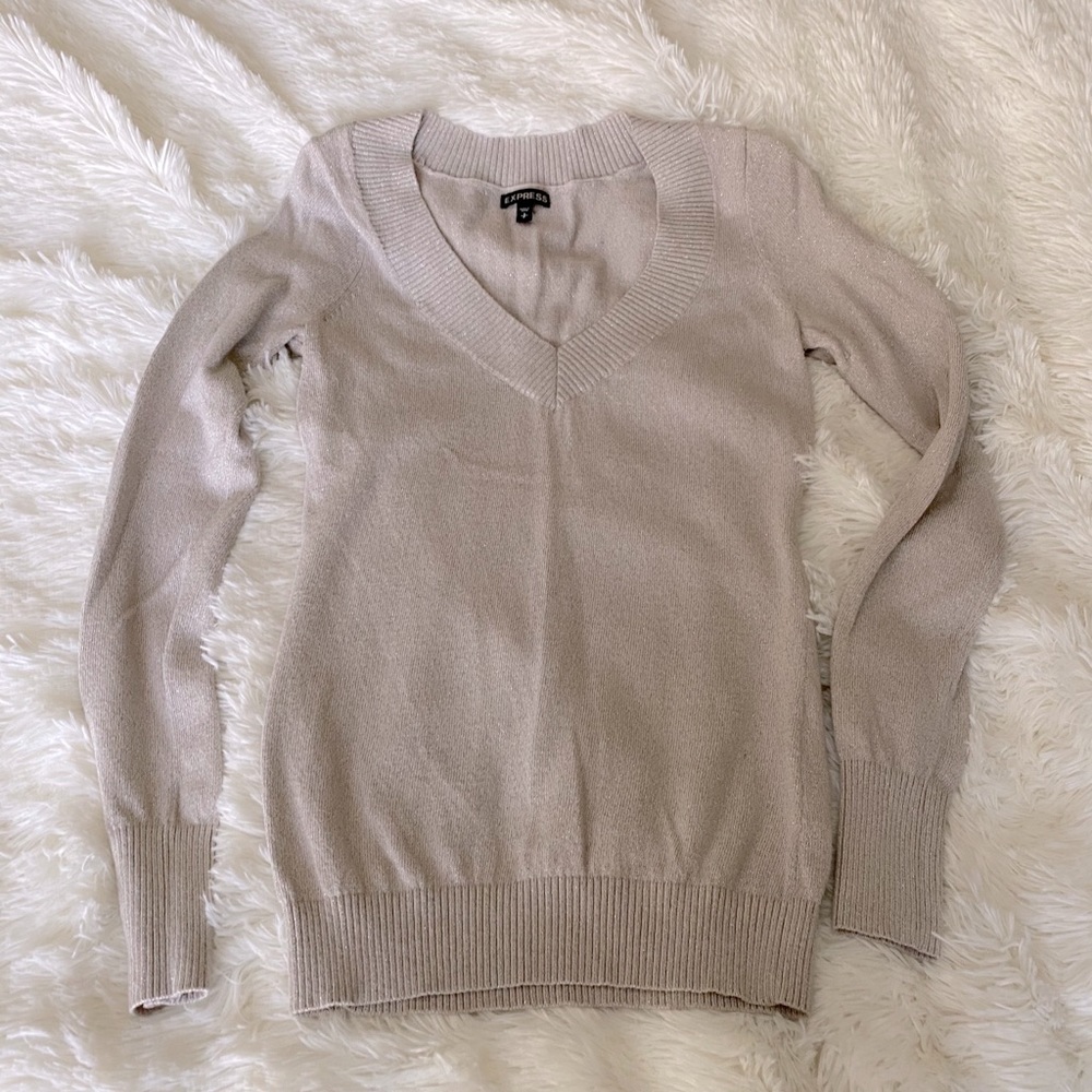 Express V-Neck Sweater